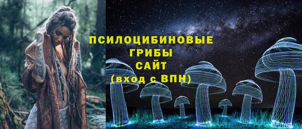 индика Магадан