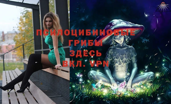 индика Магадан
