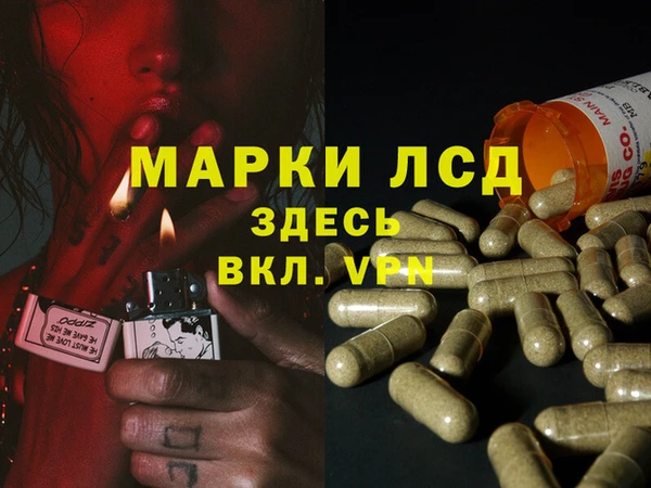 индика Магадан
