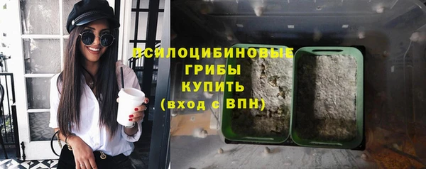 индика Магадан